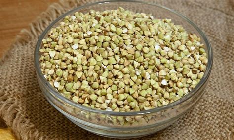 ГРЕЧИХА ПОСЕВНАЯ - фото, описание и применение в сельском хозяйстве