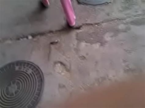 Moldavian ASS Part XNXX