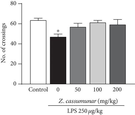 Effect Of Z Cassumunar On Body Weight Food Intake And Locomotor