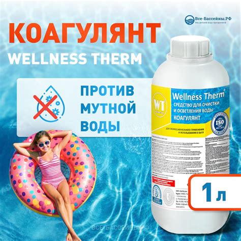 Коагулянт WELLNESS THERM 1л, Средство для очистки и осветления воды ...