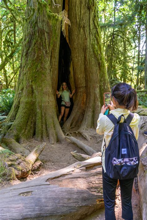 Tofino Ultimate Camping Tour | West Trek By DCT