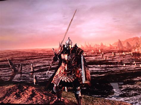 Knight king,Sayanor [DS2] (Wearing faraam helm,syan's armor,any metal