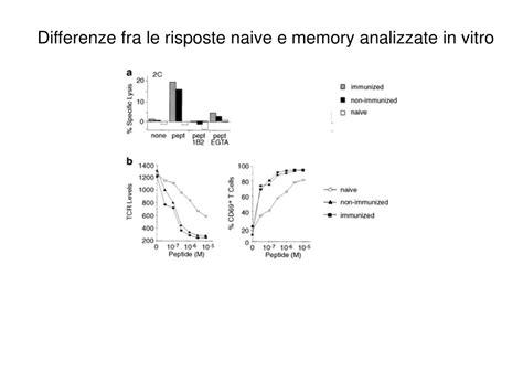 Ppt Cellule T Naive E Cellule T Della Memoria Sopravvivenza Negli