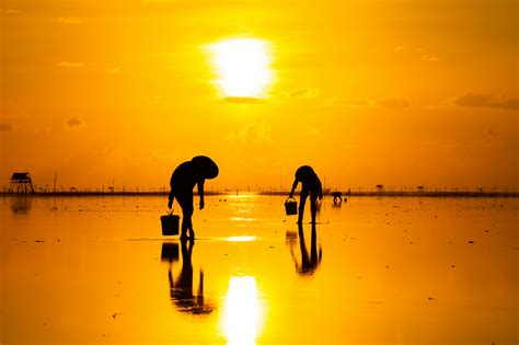 Wordle Not Working - RYZE Superfoods