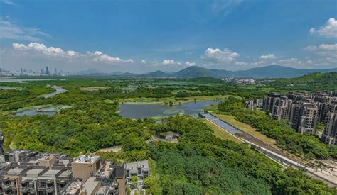 香港wetland Seasons Bay第2期招标发售 香港房产网