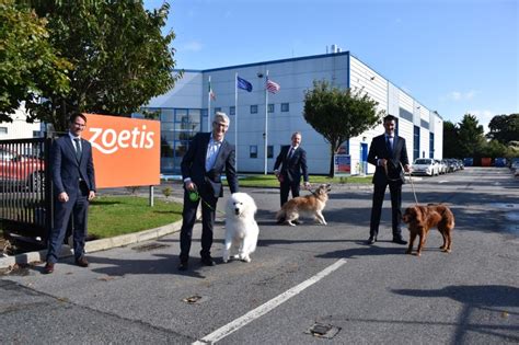 Zoetis On Linkedin Manufacturing Animalhealth