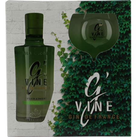 Coffret Gin G Vine Floraison Alcools Fins Et Spiritueux De Qualit