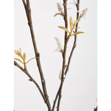 Premier Housewares Fiori White Spray Pussy Willow 96cm