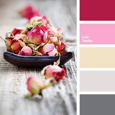 colours  tea rose color palette ideas