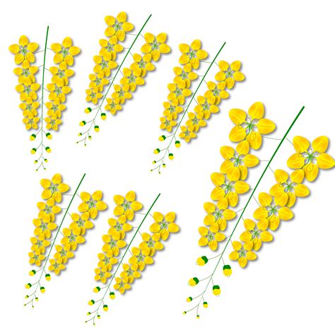 china flower national 8