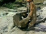 Naked Roberta Collins In The Big Doll House