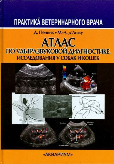 Книга: "Атлас по ультразвуковой диагностике. Исследования у собак и ...