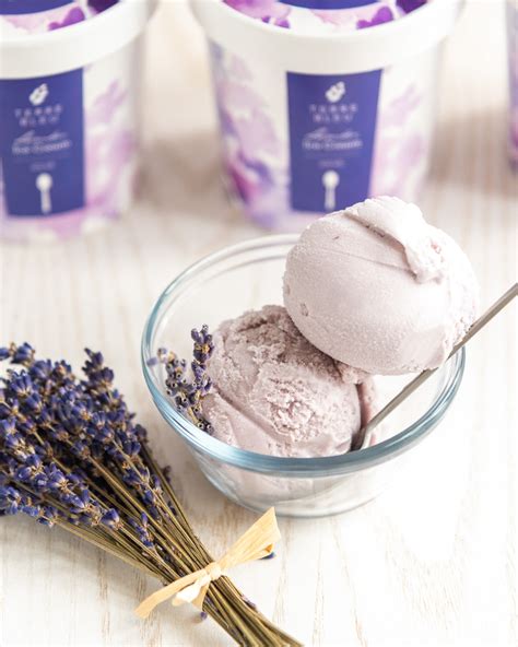 Lavender Ice Cream Now in 2 Sizes - Farm Pick Up Only – Terre Bleu ...