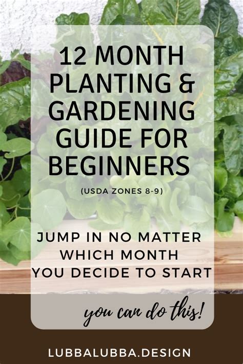 Vegetable Planting Guide Vegetable Garden For Beginners Planting