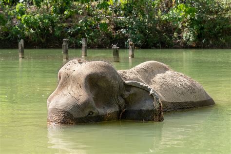 world animal protection organisation 12