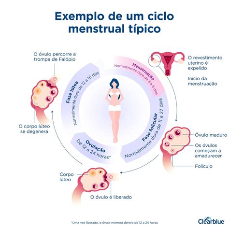 Como Antecipar A Menstruação