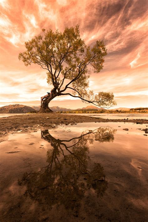 TreeGirl Takes Naked Pictures To Show That We Are Nature Onedio