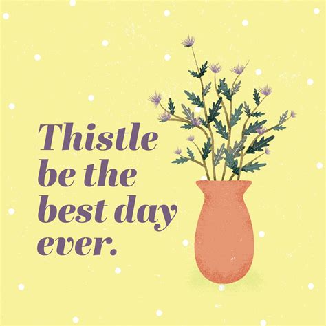 50 Plant And Cactus Puns For Your Inner Plant Lady Proflowers
