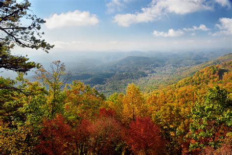 Fall Foliage | pigeon forge online