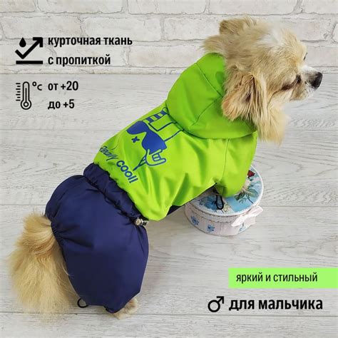 Дождевик для собаки (для мальчика) "Dilai" COOL куртка с капюшоном ...