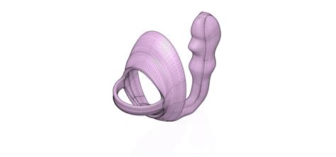 Male Prostate Stimulation Anal Plug With Cock Ring Butt Plug For Man Aph D Print Cnc Stl