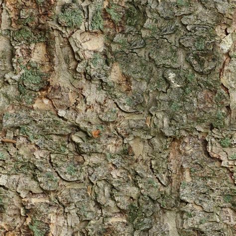Seamless Tileable Texture Free Photo On Pixabay Pixabay