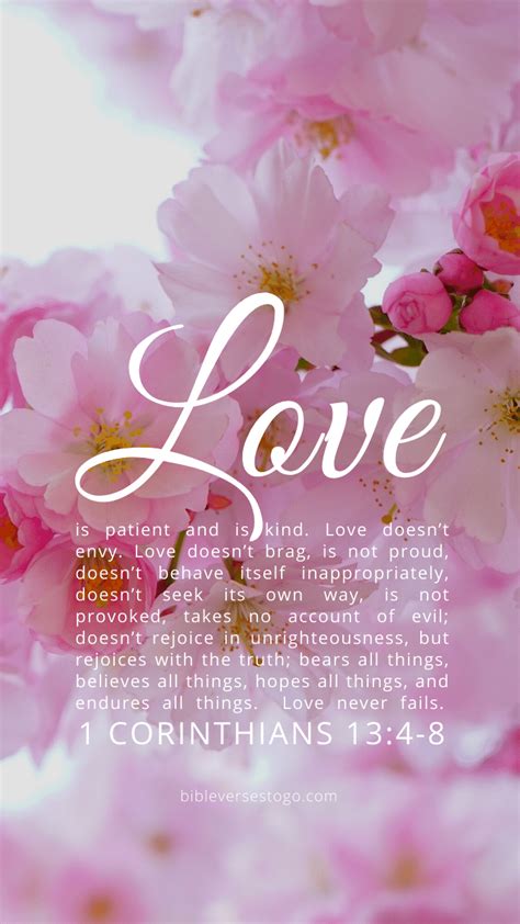 Pink Bloom Bible Verse Wallpaper Bible Verses To Go