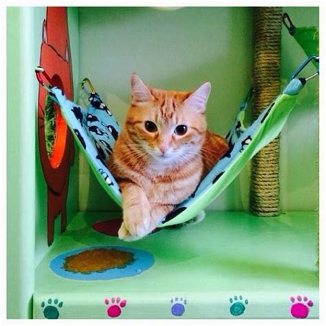 Домик для кота | Кот и кошка