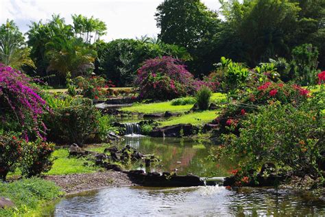 Nani Mau Gardens 53 Acres Of World Class Botanical Gardens Mauii