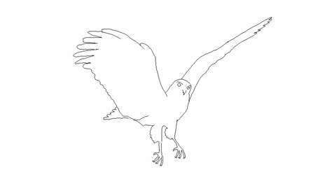 Single Eagle Elevation 2d Block Cad Drawing Details Dwg File Cadbull