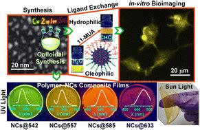 Colloidal Synthesis Of Emission Tunable Cu Doped ZnInSe ZnSe Core