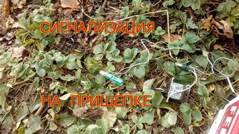 Простейшая сигнализация из прищепки, лески и лампочки - YouTube