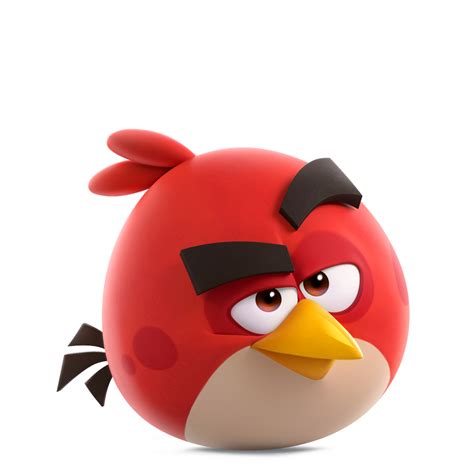 Contact — Iswii By Angry Birds Retail Cafe