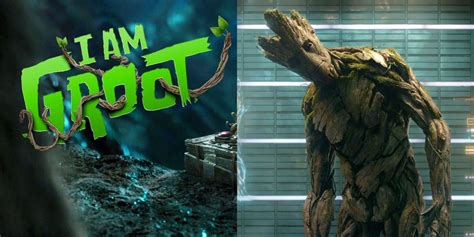 Guardians Of The Galaxy: 10 Best Groot Quotes (Translated)