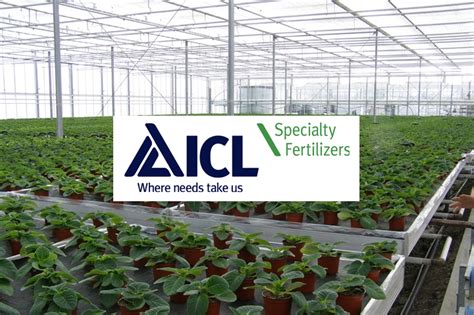 ICL Specialty Fertilisers | Daltons