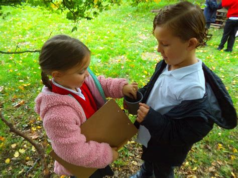 Welcome The Merton Primary School