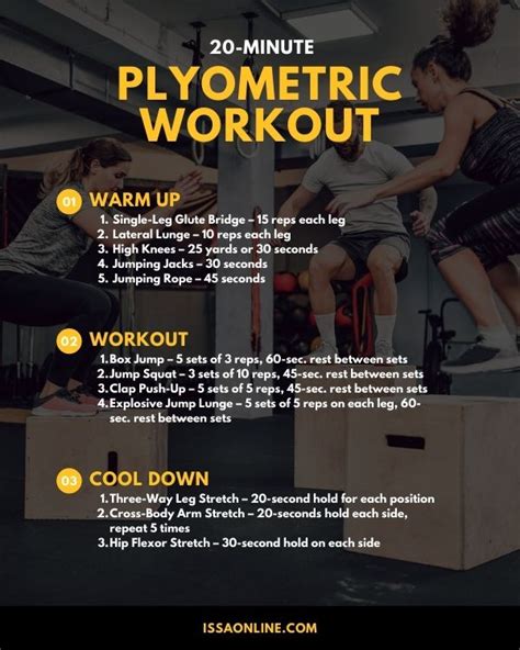 Plyometric Training Exercises Agility Artofit