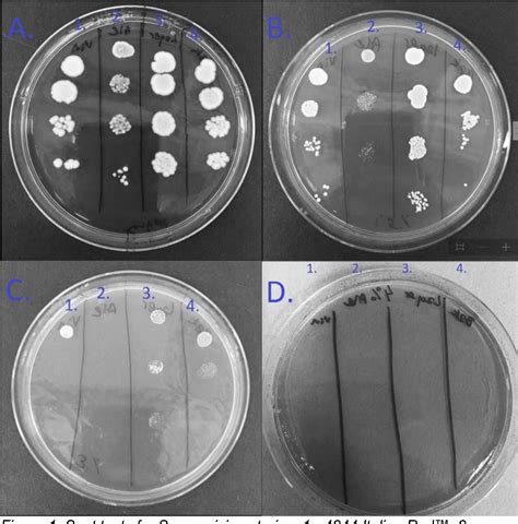 Figure 1 From Evaluation Of Isobutanol Tolerance And Gene Expression In