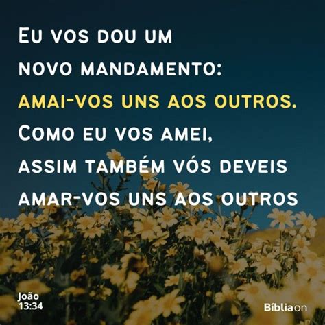 Amai Vos Uns Aos Outros Como Eu Vos Amei - Amai-vos uns aos outros, como eu vos amei na Bíblia A Bíblia nos ensina ...