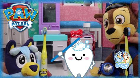 Paw Patrol And Bluey Brush Teeth Fun Videos For Kids Youtube