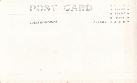 Lot Antique Rare Photo Postcard Pin Up Nude Females