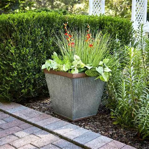 5 Outdoor Planters Youll Want To Put On Your Patio Right Now Better