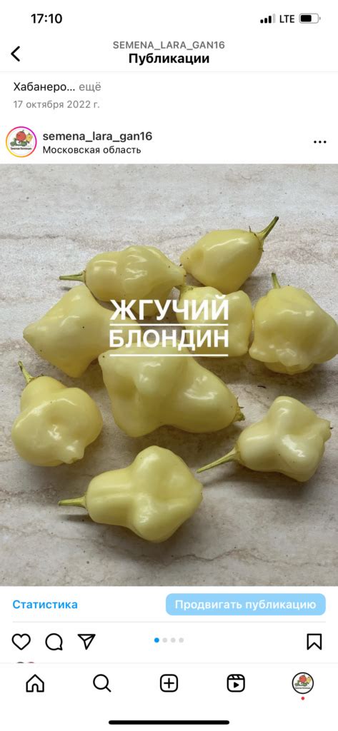 БЛОНДИН перец острый | Томатная Коллекция - Редкие и эксклюзивные ...