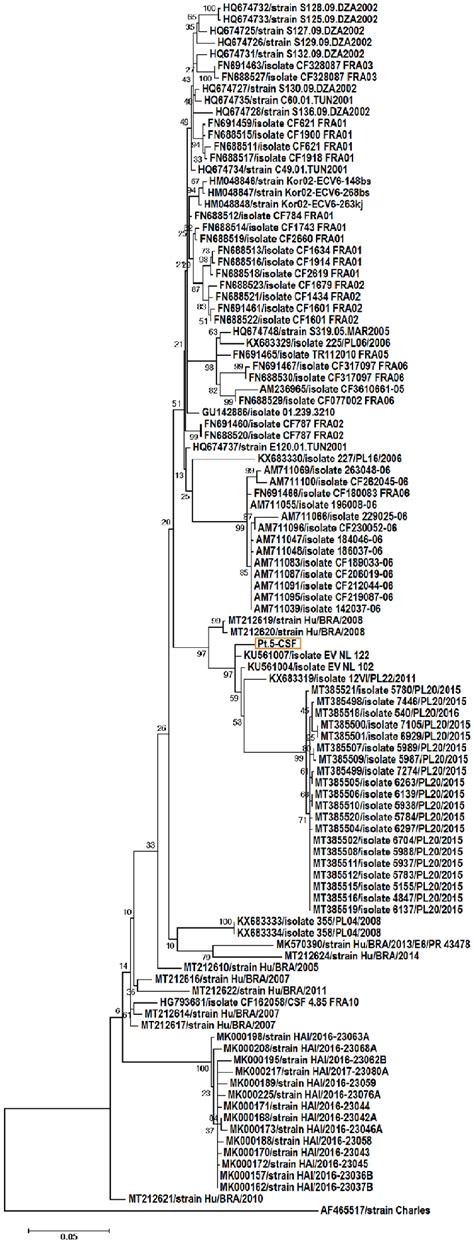 Phylogenetic tree depicting the relationships between VP1 coding region ...