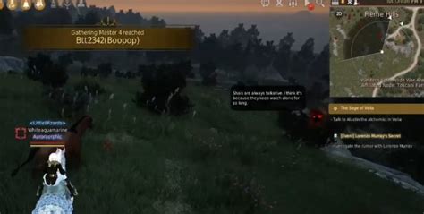 Black Desert All Wild Horse Spawn Locations Mmosumo