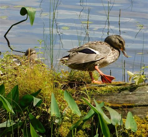 Newzjunky - WATERTOWN, N.Y. — Emergency crews responded... | Facebook
