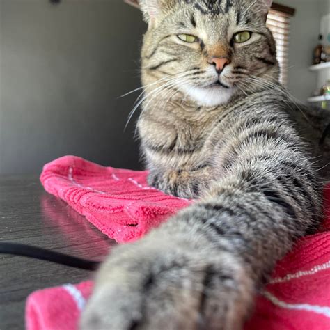 You can watch WKBN 27 News for... - WKBN 27 Youngstown OH | Facebook