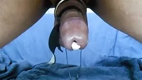 Free Gay Porn Videos Trending Porno Movies XHamster