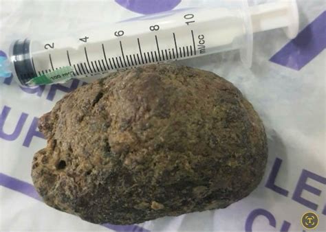 B N Tin C C Tr Ng T Hot H N I B T U Tuy N Sinh L P N M H C