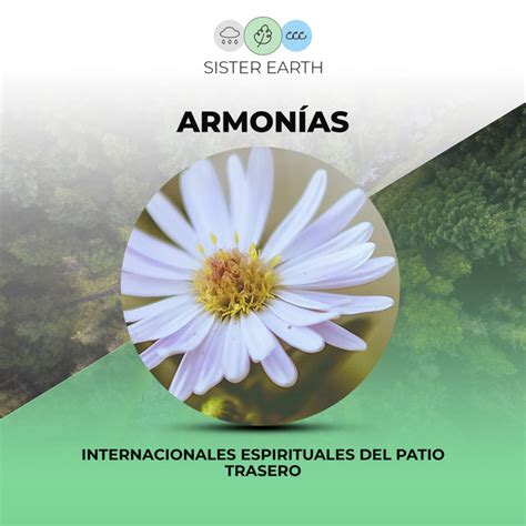 Armon As Internacionales Espirituales Del Patio Trasero Ep By Sonidos